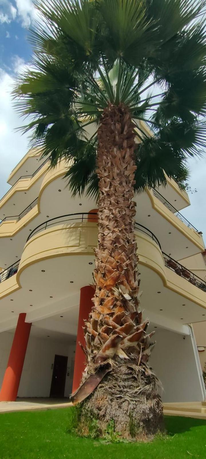 Garden Luxury Apartment كاندية المظهر الخارجي الصورة