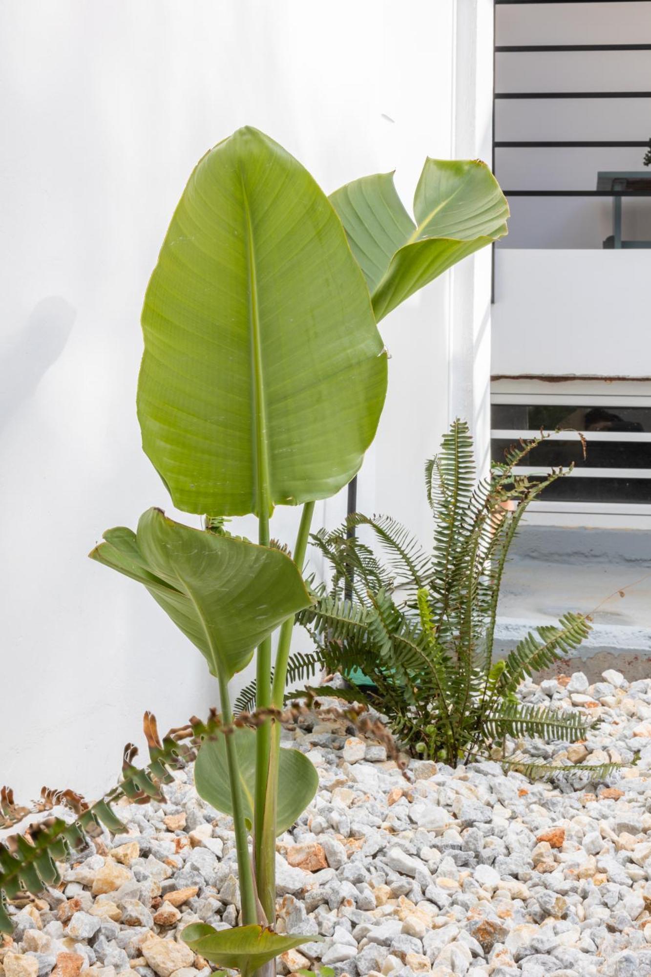 Garden Luxury Apartment كاندية المظهر الخارجي الصورة